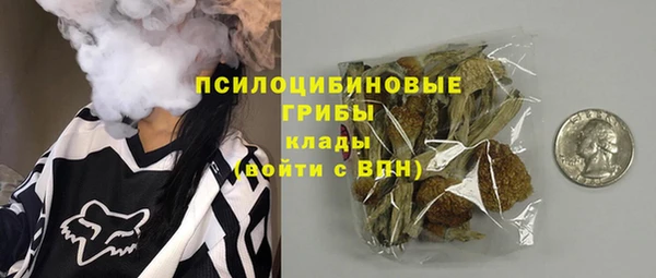 гидра Бородино