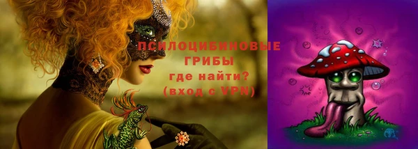 ГАЛЛЮЦИНОГЕННЫЕ ГРИБЫ Бронницы