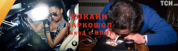 гидра Бородино