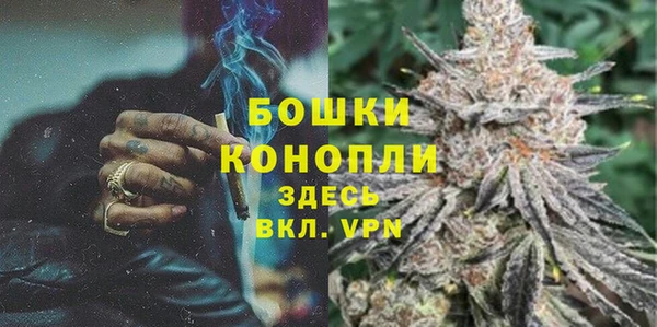 ГАЛЛЮЦИНОГЕННЫЕ ГРИБЫ Бронницы