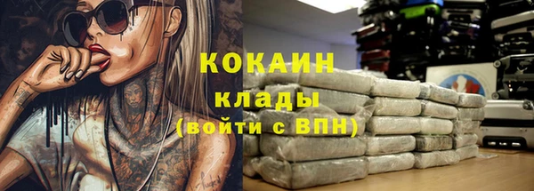 гидра Бородино