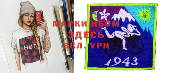 гидра Бородино