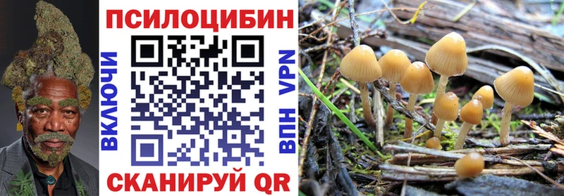 blacksprut онион  Курган  Псилоцибиновые грибы MAGIC MUSHROOMS 
