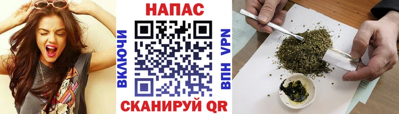 Бошки Шишки OG Kush купить наркотик Курган